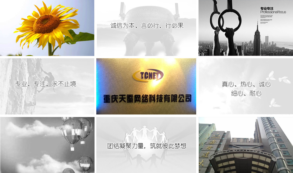 重慶天蠶網絡科技有限公司企業理念